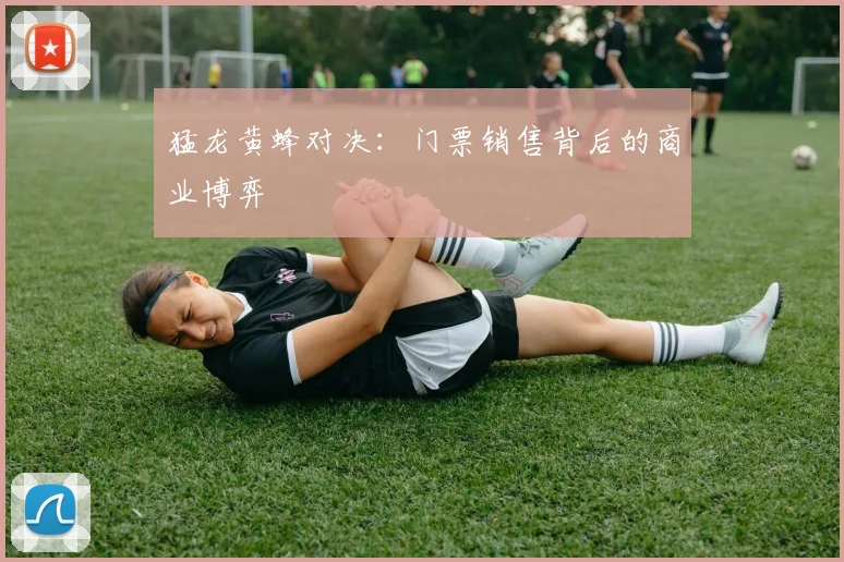 猛龙黄蜂对决：门票销售背后的商业博弈