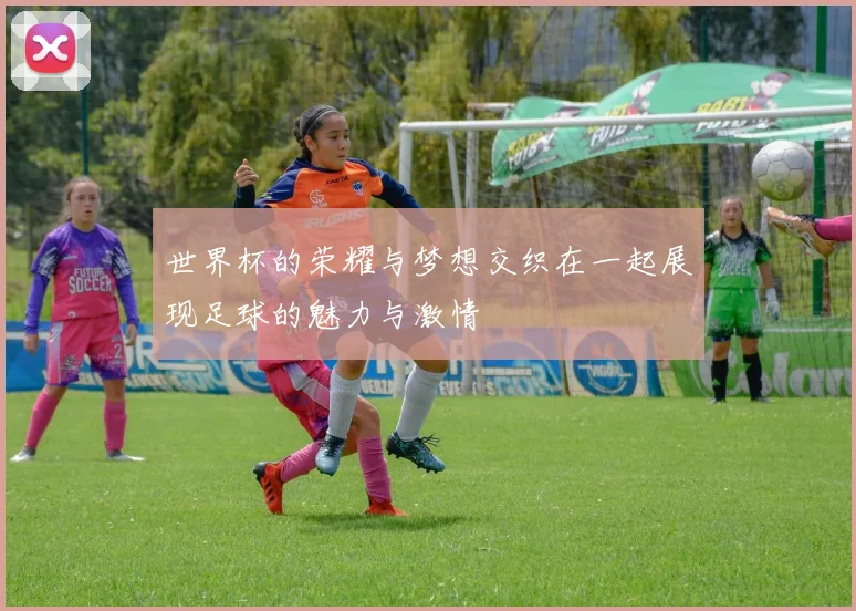 世界杯的荣耀与梦想交织在一起展现足球的魅力与激情
