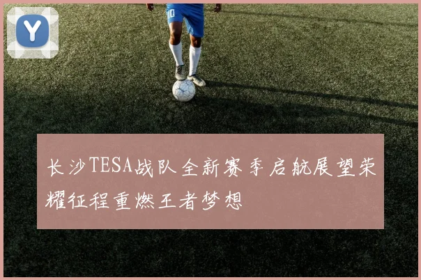 长沙TESA战队全新赛季启航展望荣耀征程重燃王者梦想
